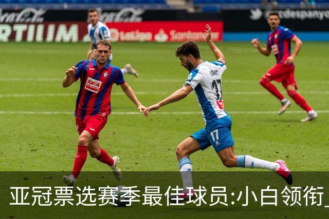亚冠票选赛季最佳球员:小白领衔 奥古比埃拉上榜